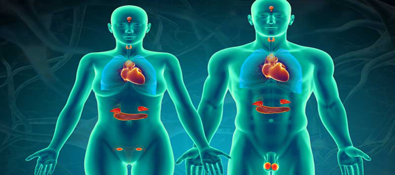 Best endocrinology Hospital in Raipur